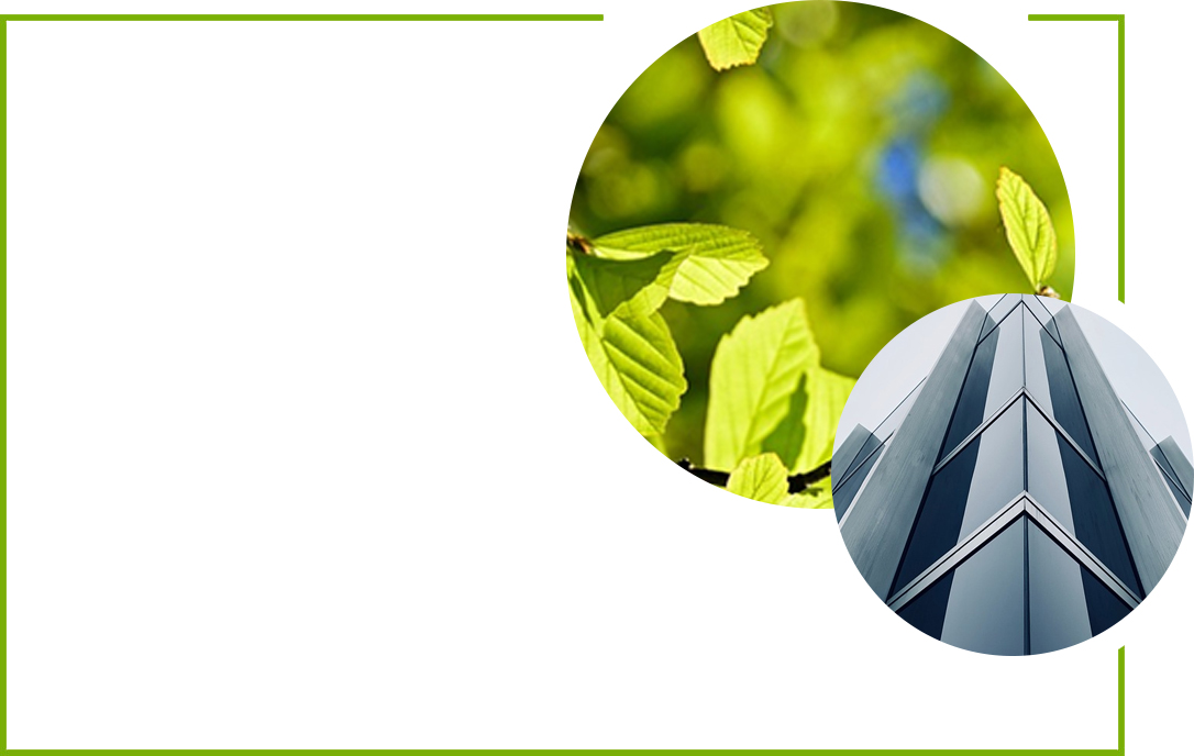 高鹰科技金山总部基地实景